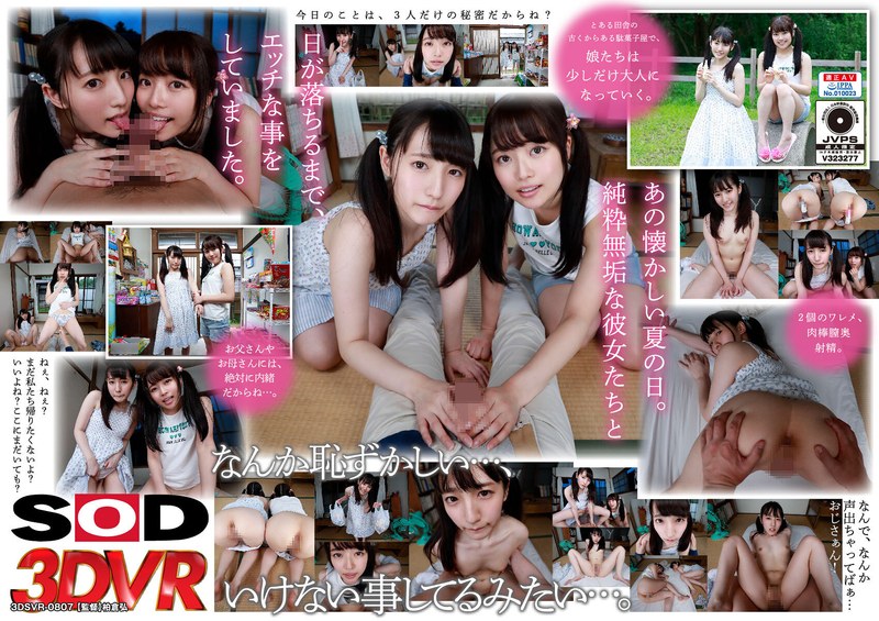 【VR】マセガキ娘とウブ娘。駄菓子屋の奥に仲良し2人組を連れ込んで、セミの声をかき消すほどに喘がせた3P！（13dsvr00807）レビュー｜評価と感想