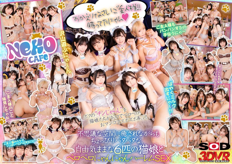 【VR】猫カフェ行ったらまさかの猫娘の登場！？～舐められまくりの自由気ままなにゃんにゃんハーレムSEXだにゃん～（13dsvr01525）レビュー｜評価と感想