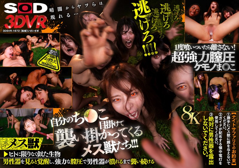 【VR】【8K】恐怖！メス獣ナイトサファリVR（13dsvr01672）レビュー｜評価と感想