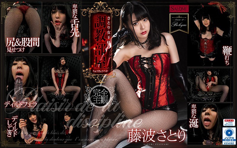 【VR】さとり女王様の調教部屋 藤波さとり（h_1419spvr00008）レビュー｜評価と感想