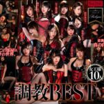 【VR】女王様10人 調教BEST（h_1419spvr00021）レビュー｜評価と感想