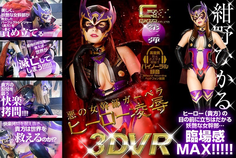 【VR】悪の女幹部ガーベラ ヒーロー凌●（h_173ghvr00002）レビュー｜評価と感想